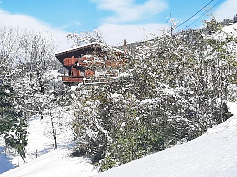 Mountain Chalet Mayrhofen Exterior foto